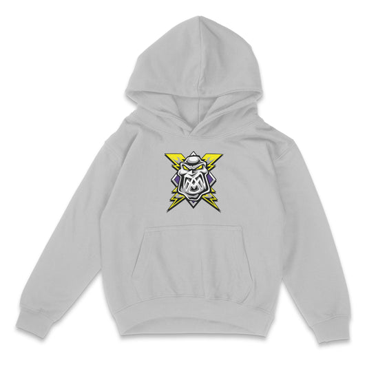Kids Logo Hoodie - Grey