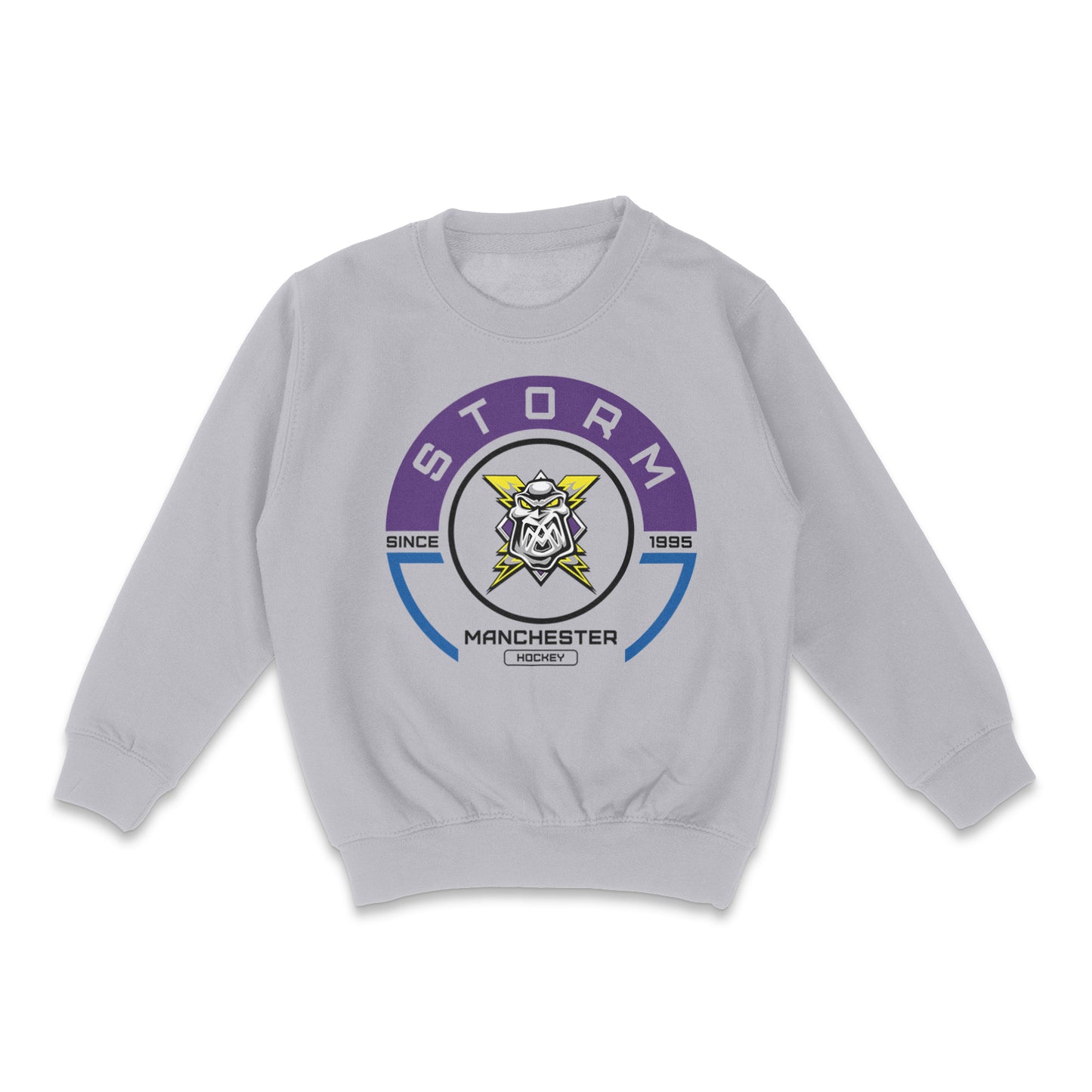 Kids Since 1995 Grey Sweatshirt