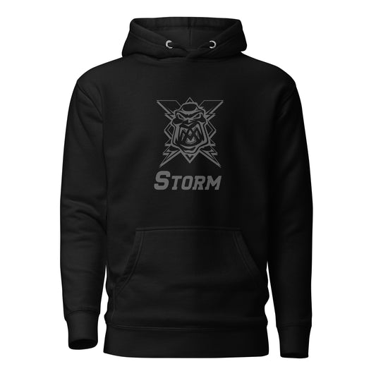 BF25 Logo Black Hoodie