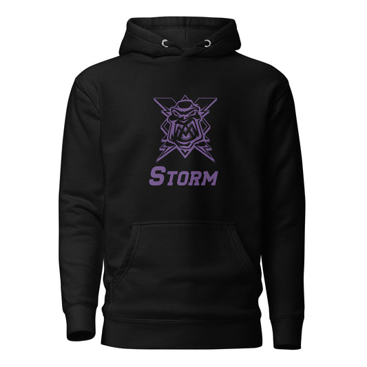 BF25 Purple Logo Black Hoodie